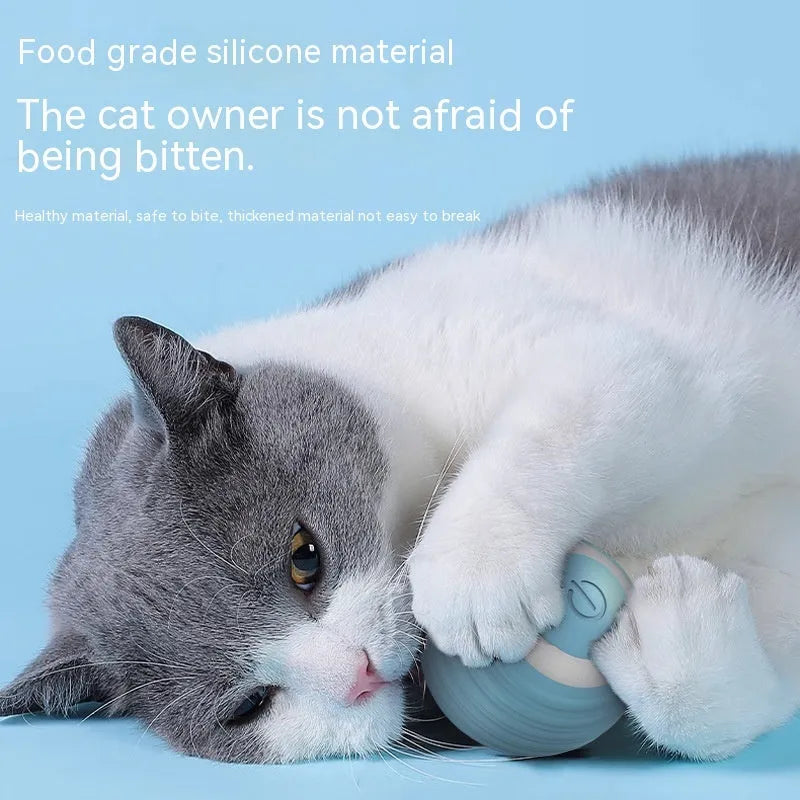 Blue automatic moving cat ball with silicone construction and charging cable