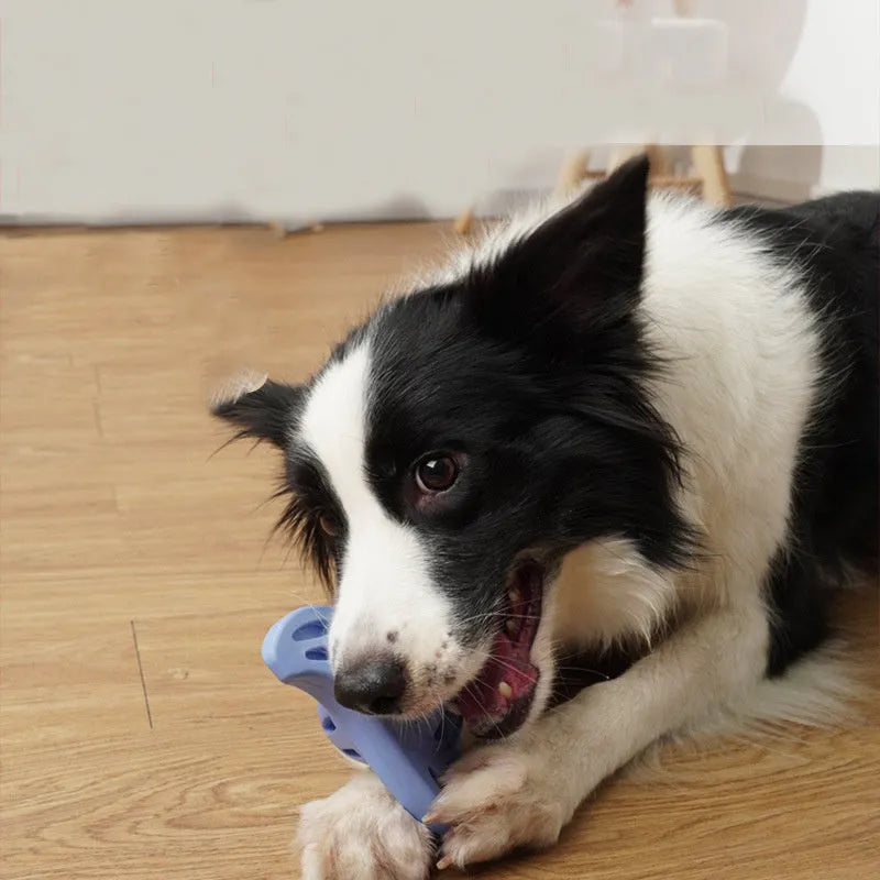 Boomerang-shaped dog chew toy with textured molar edges in purple colour