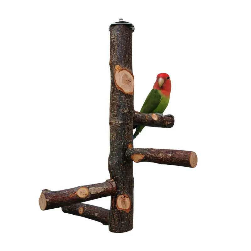 Apple wood parrot bird stand with pole, assembled perch toy in picture colour for small parrots