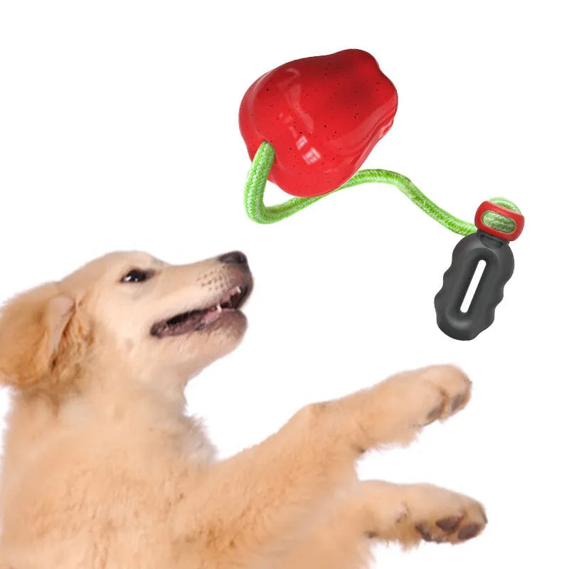 Green apple-shaped plastic dog chew toy with hollow treat-dispensing design