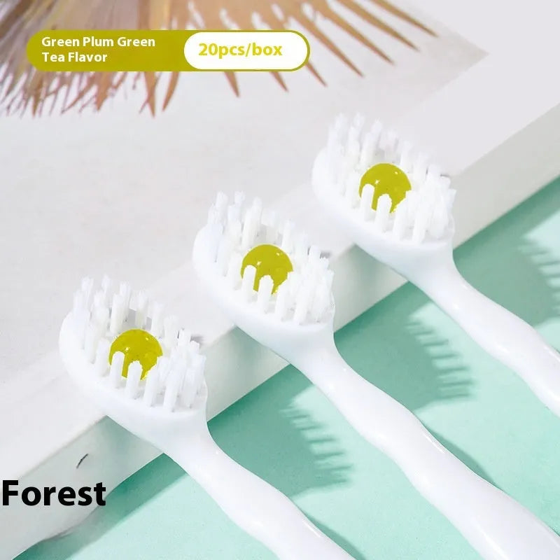 Box containing 20 disposable bead toothbrushes in mint, peach, plum green tea, or mixed flavours.