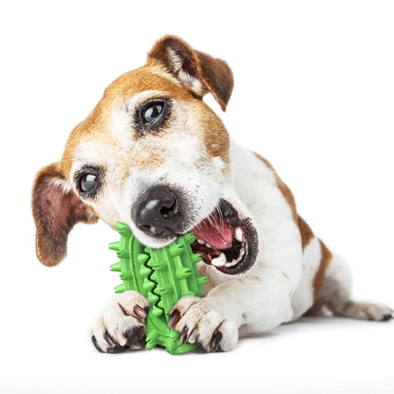 Green cactus-shaped dog chew toy with textured cleaning bumps and treat channels