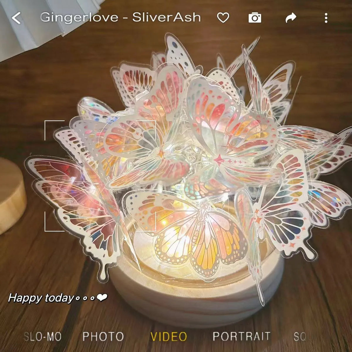 Butterfly night lamp with glass shade on raw wood base for bedroom ambience lighting