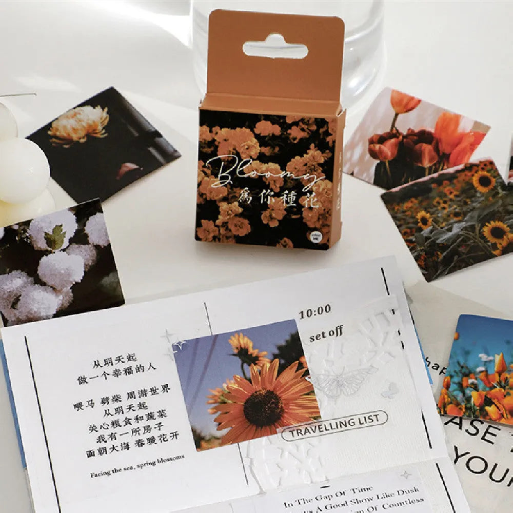 Nordic style decorative stickers box set with mountain, sea and sunshine motifs in six colour variations