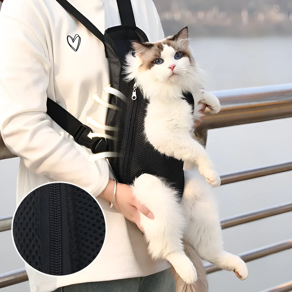 Adjustable dog carrier backpack with breathable mesh fabric shown in multiple colours