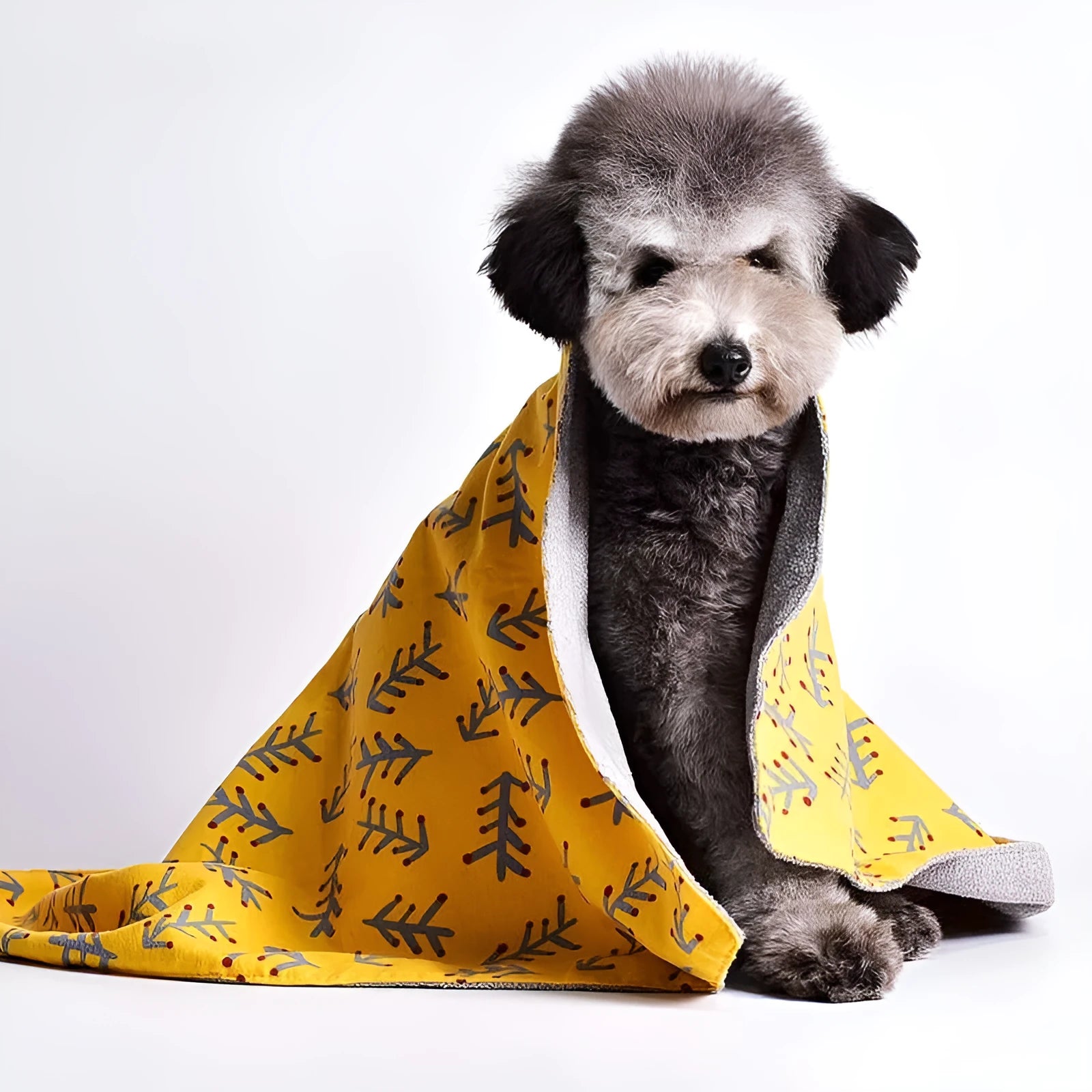 Double-sided cotton pet blanket with colourful cartoon dinosaur print in various sizes