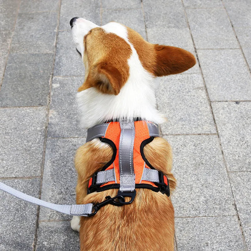 Orange dog harness vest with hand holding rope attached to chest strap for walking control
