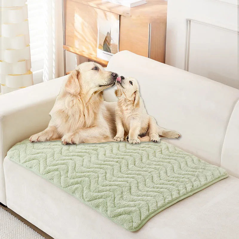 Plush thickened warm pet mat in blue, coffee, grey, green, or white for dog cage and cat nest