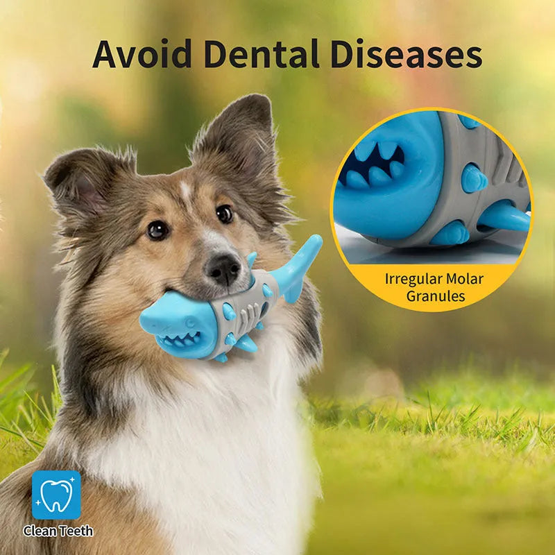 Blue shark-tooth dog chew toy with textured cleaning surfaces and bite-resistant construction