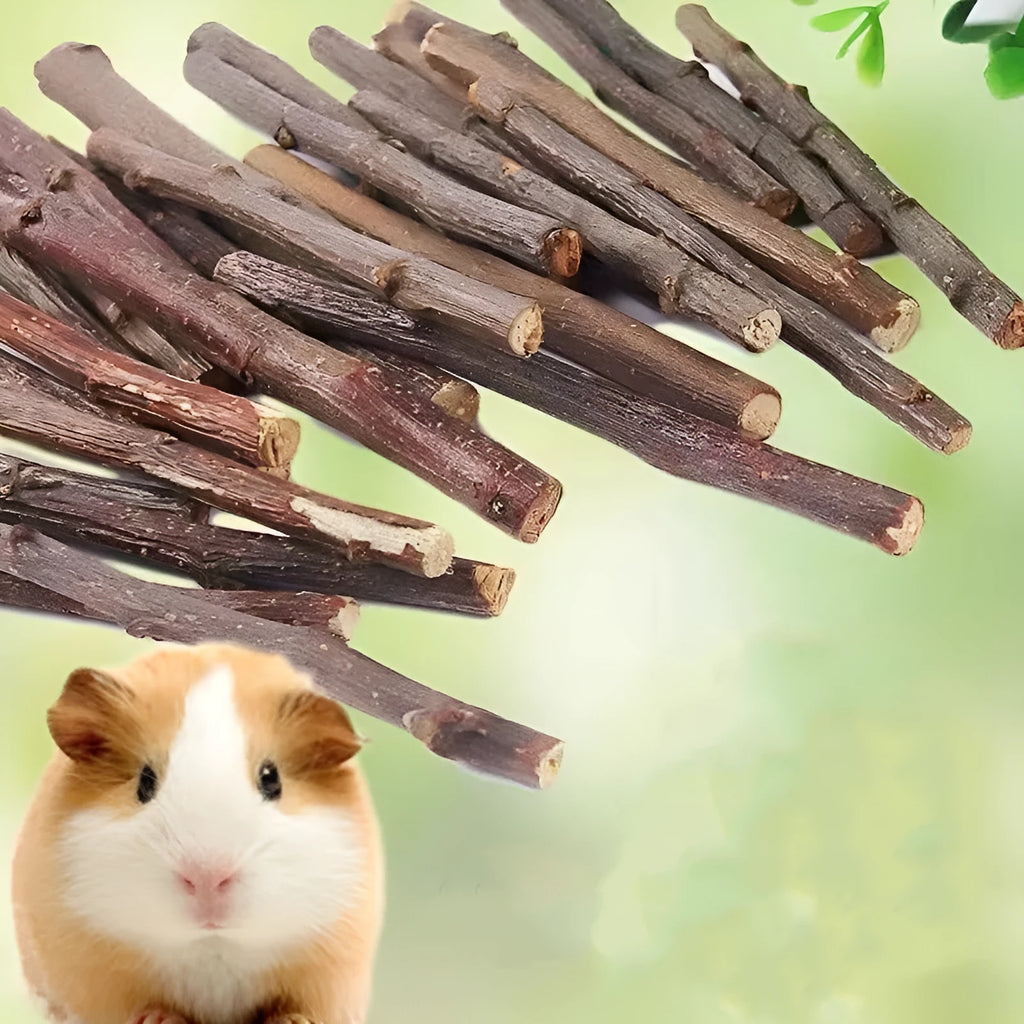 Dried apple branches 100g natural small pet treat for rabbits chinchillas hamsters teeth cleansing chew sticks 10-13cm