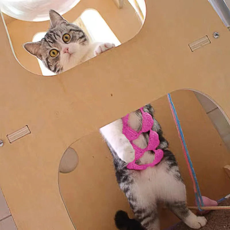 A cat wearing a black bikini bra costume for Halloween or party cosplay.