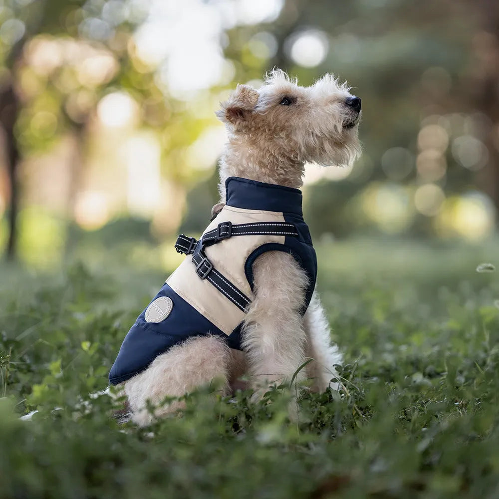 Windproof polyester dog coat in navy blue with integrated chest and back design