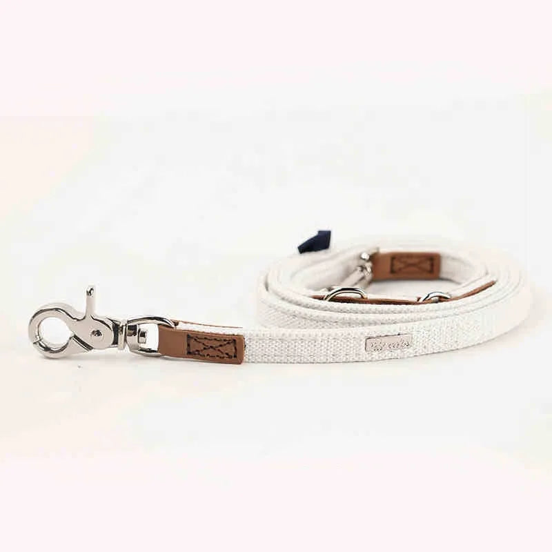 Cloth pet dog collar with bow and traction rope set on blue background