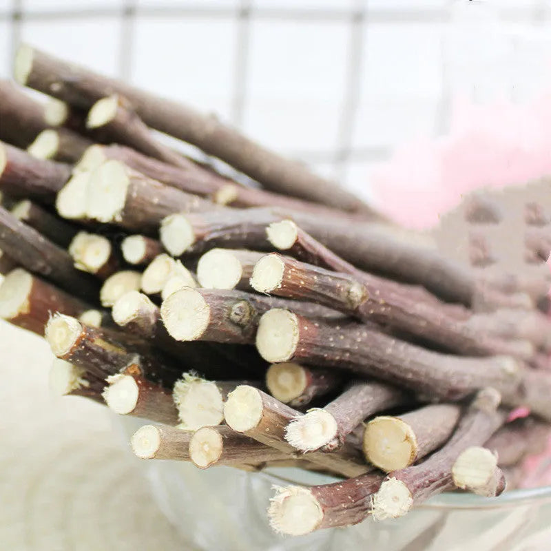 Dried apple branches 100g natural small pet treat for rabbits chinchillas hamsters teeth cleansing chew sticks 10-13cm