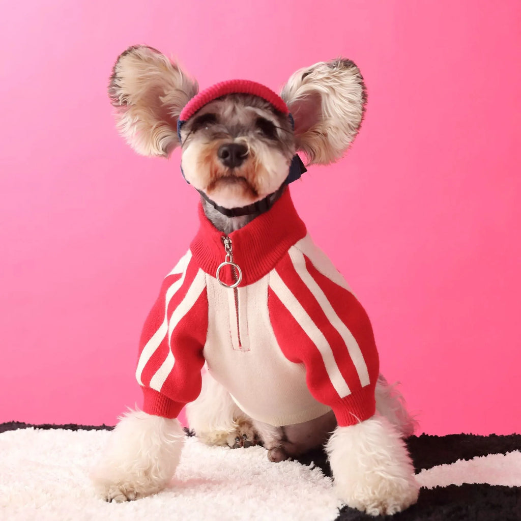 Red wool sports cardigan for medium-sized dog on mannequin showing casual pet clothing design