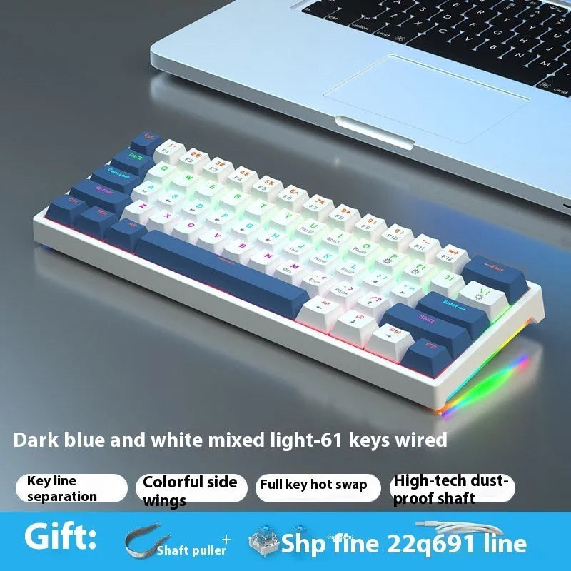 Blue and white 61-key mechanical computer keyboard with wired hot-plug connection