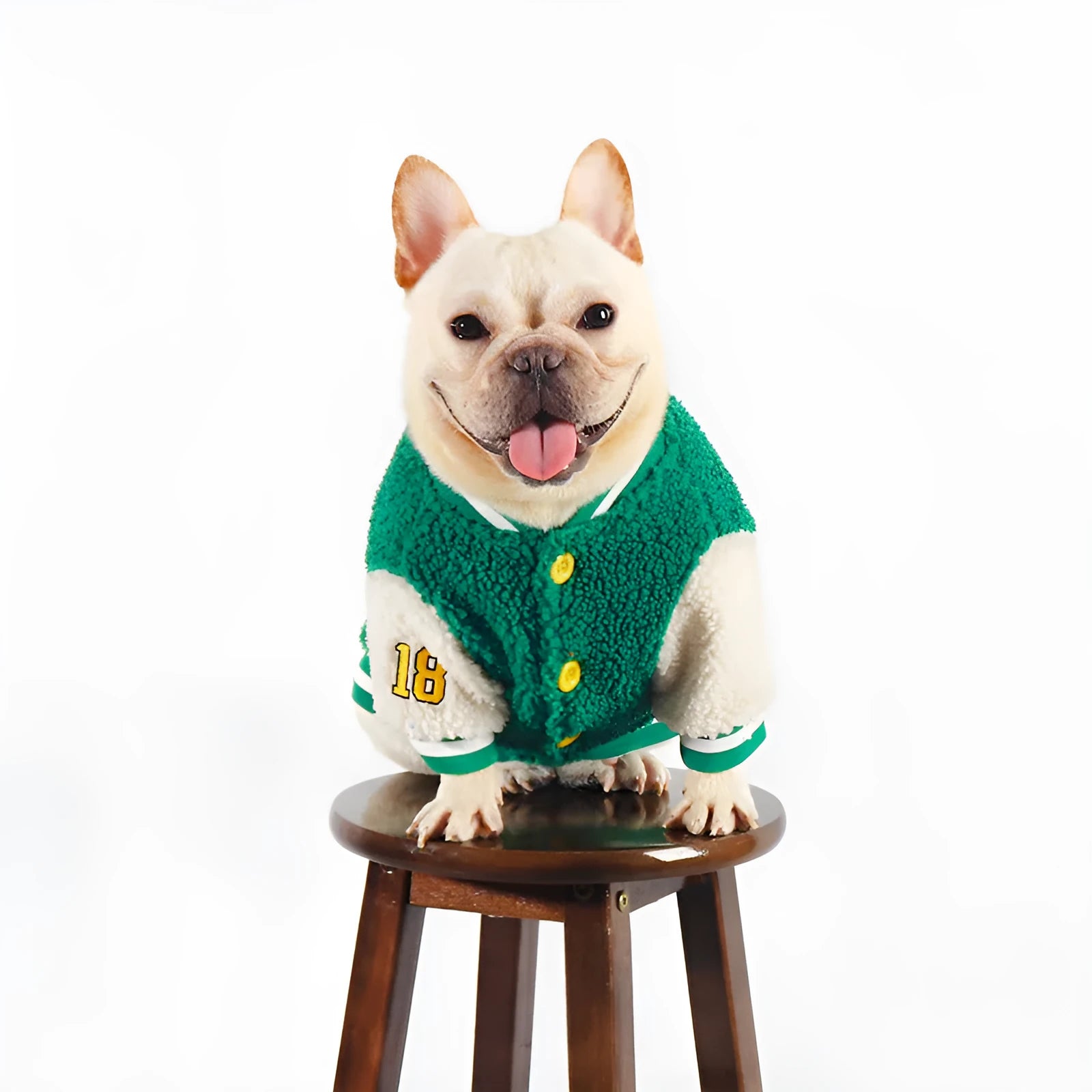 Green fleece-lined cotton dog coat for winter weather in large sizes