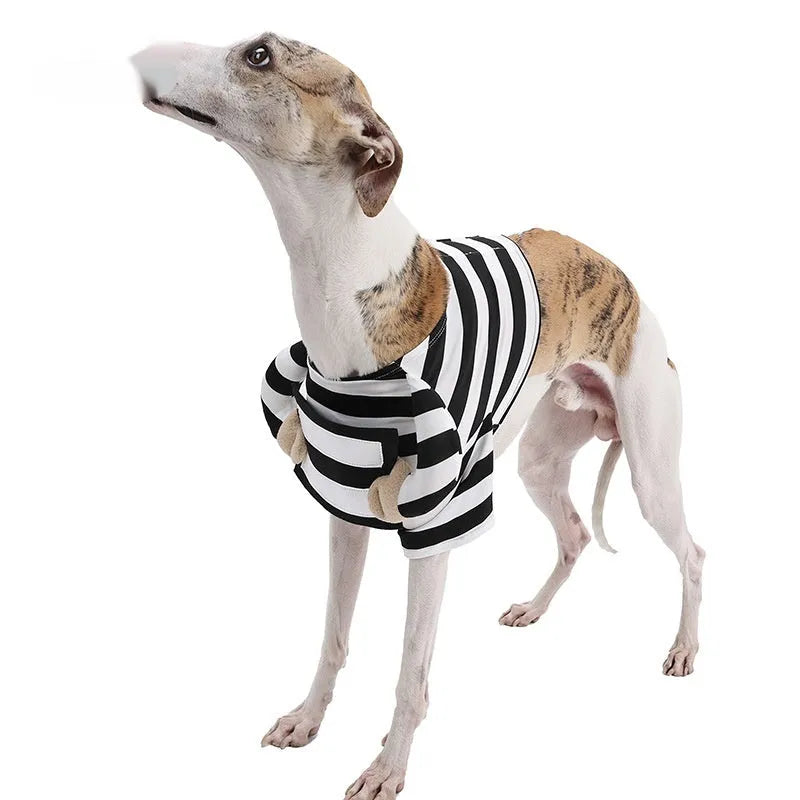 Striped black and white dog Halloween pet costume in polyester, available in sizes S M L XL