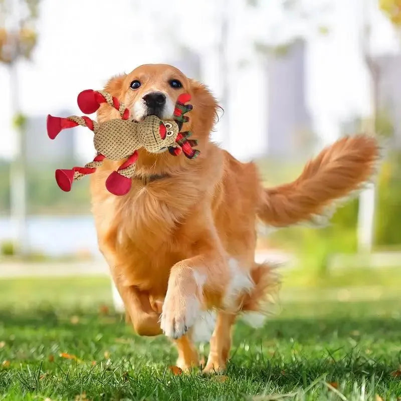 Interactive Christmas dog toy in squeaky plush, about 35*14*8cm, 140g, in Black, Brown, or White
