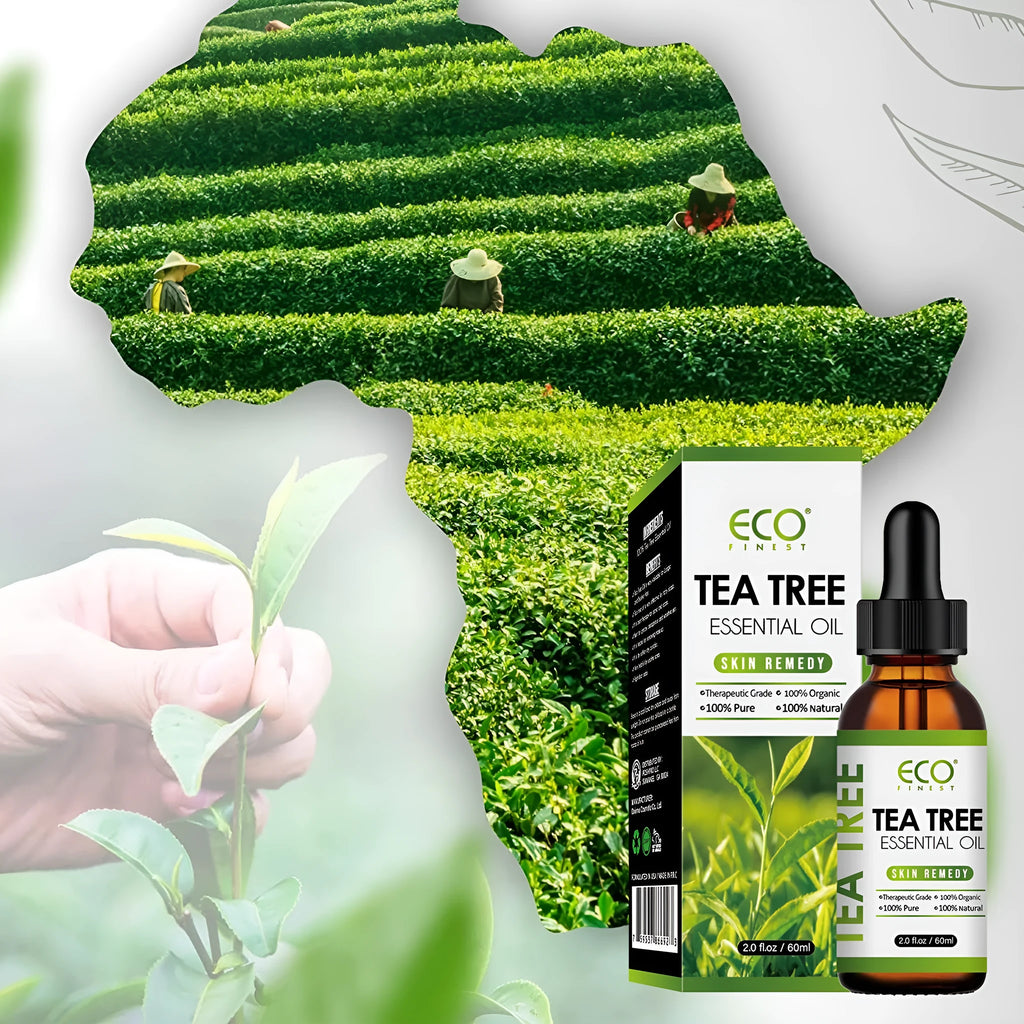60ml glass bottle of pure tea tree essential oil for topical acne treatment and skin care.