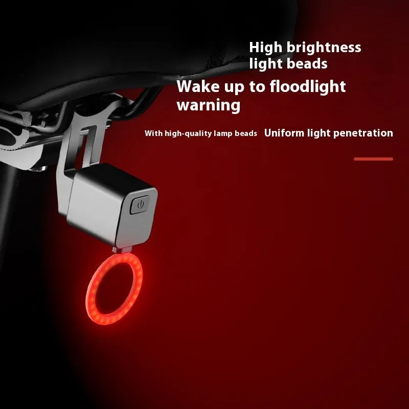 Bicycle rear taillight with running water LED pattern mounted on seat tube