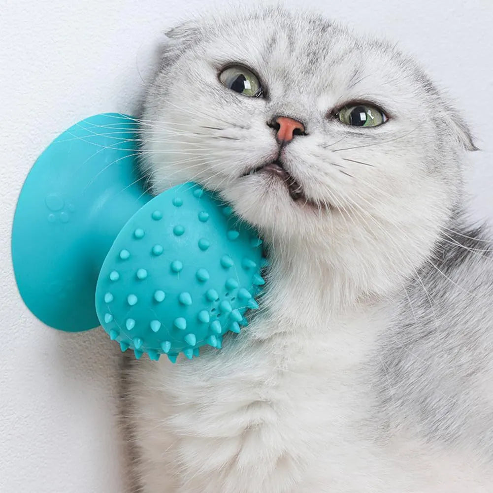 Wall-mounted cat self groomer in blue with brush head and catnip compartment for loose fur removal