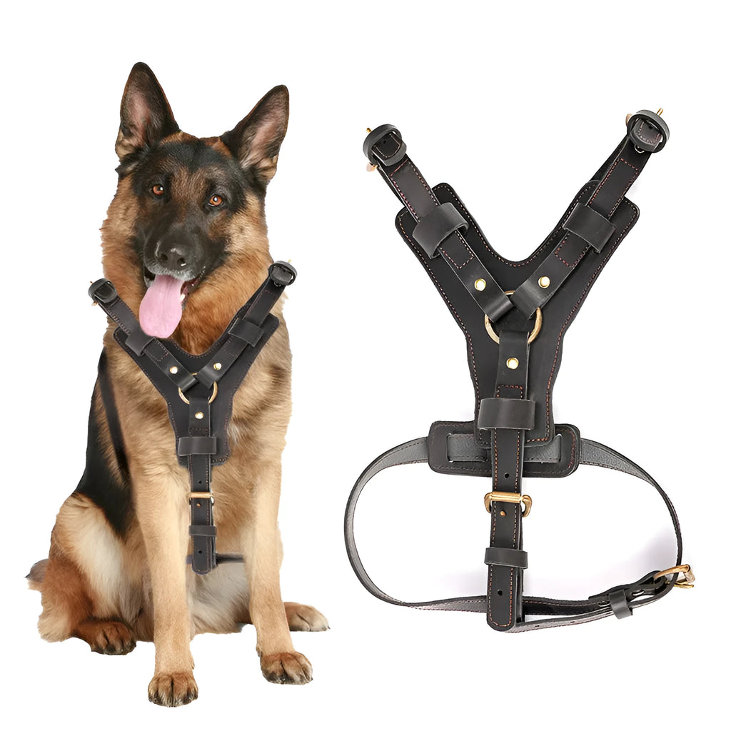 Black cowhide leather dog chest harness set with automatic traction rope and 360° chest and back surround