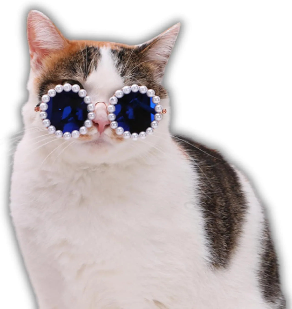 Pearl-rimmed round sunglasses for a cat or dog, shown in blue, with size options of 11cm and 8cm.
