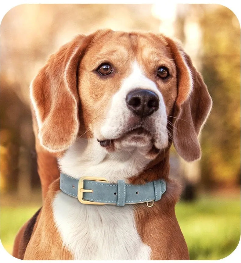 Fashionable rose red mohair and leather double-layer dog collar with matching rope, shown on a size chart.