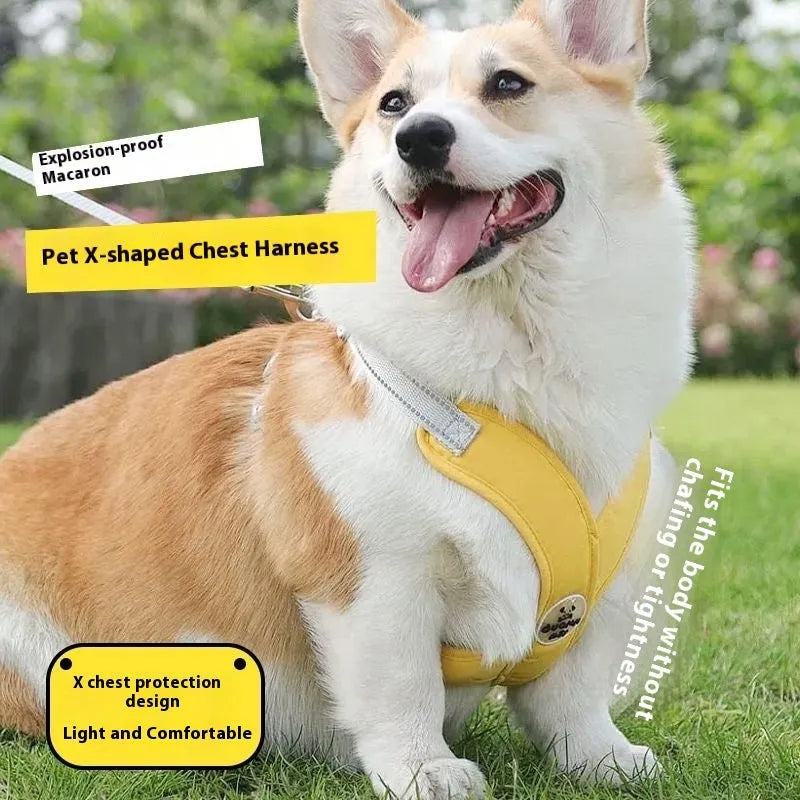 A pink polyester dog vest harness with an integrated hand holding rope laid flat.