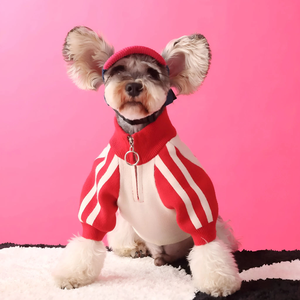 Red wool sports cardigan for medium-sized dog on mannequin showing casual pet clothing design