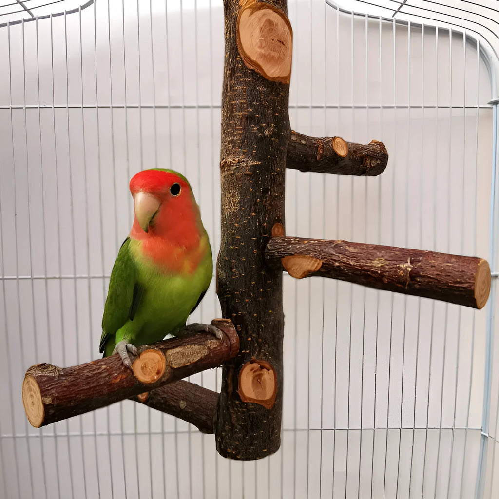 Apple wood parrot bird stand with pole, assembled perch toy in picture colour for small parrots