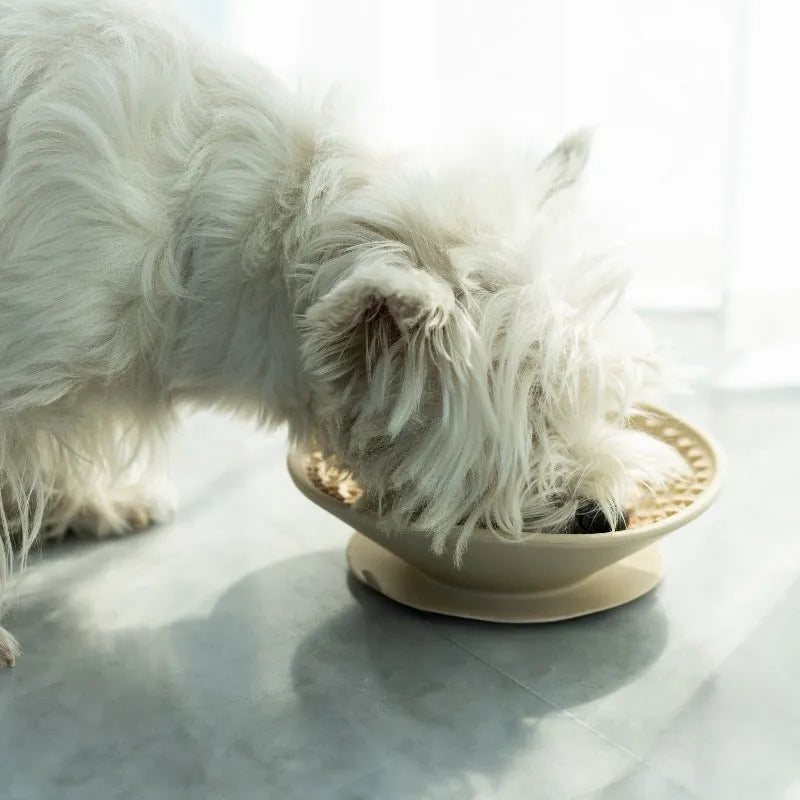 Silicone dog slow feeder bowl with three-compartment Ding Ding plate, 21cm diameter, in coral red or yellow.