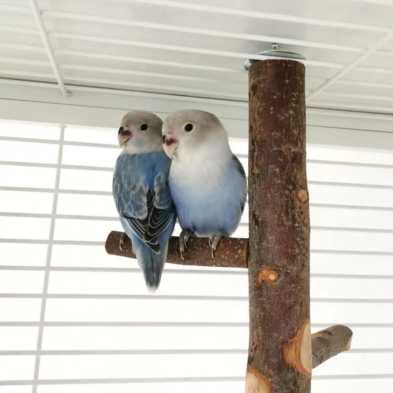 Apple wood parrot bird stand with pole, assembled perch toy in picture colour for small parrots