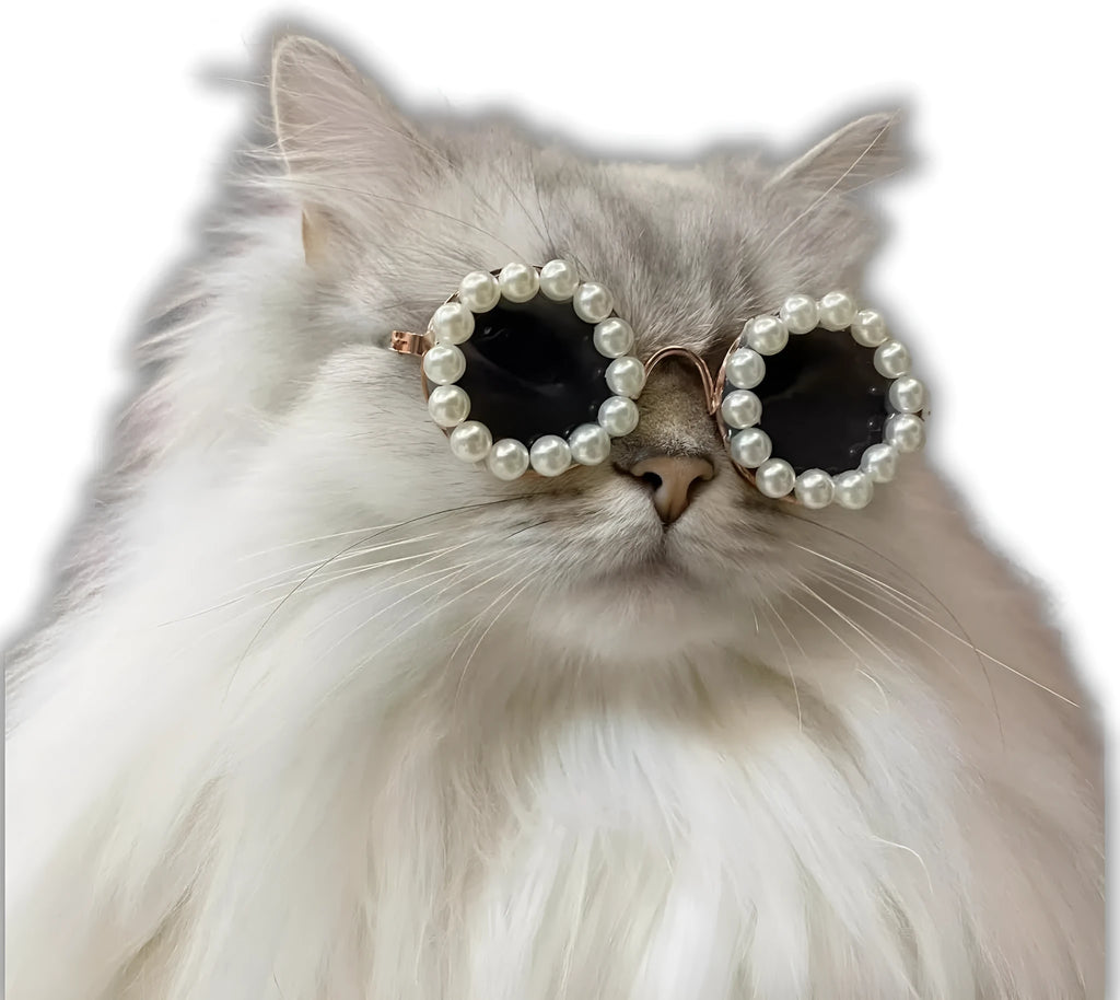 Pearl-rimmed round sunglasses for a cat or dog, shown in blue, with size options of 11cm and 8cm.