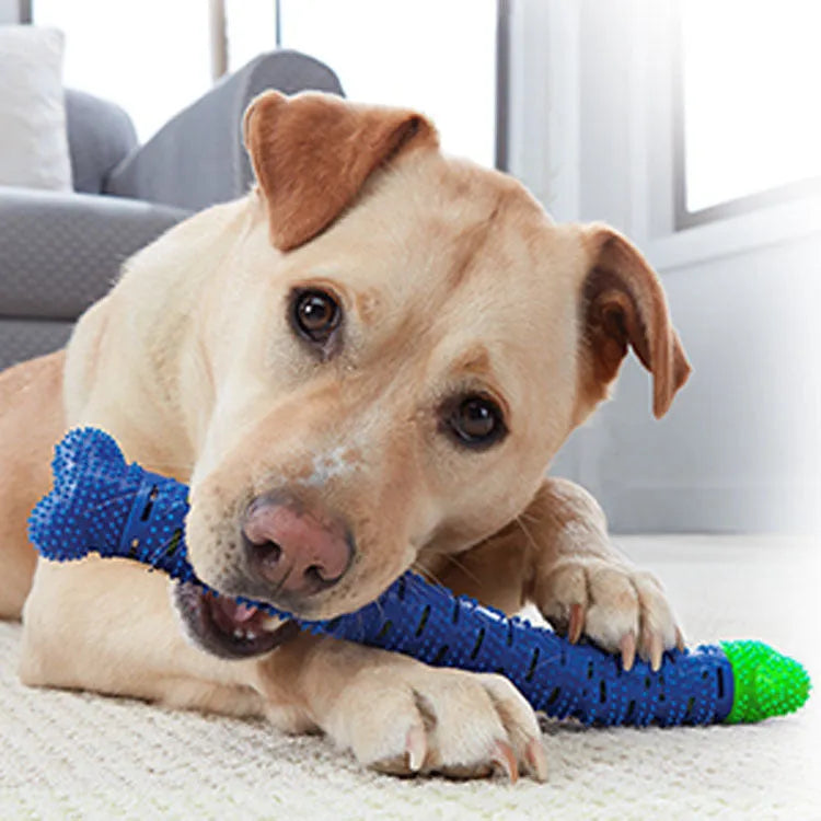 Blue-green dog dental chew toy with silicone brushing nodules and massage bumps for teeth cleaning