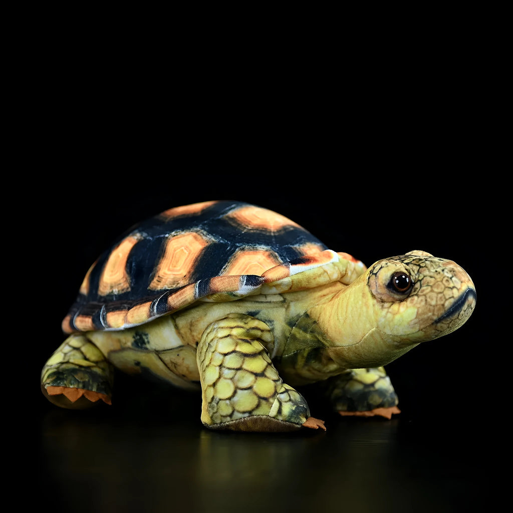 35cm simulation tortoise plush toy in tortoise colour showing realistic design and soft texture