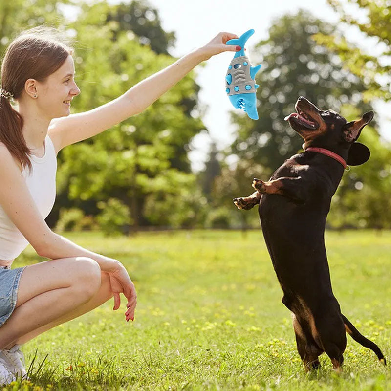 Blue shark-tooth dog chew toy with textured cleaning surfaces and bite-resistant construction