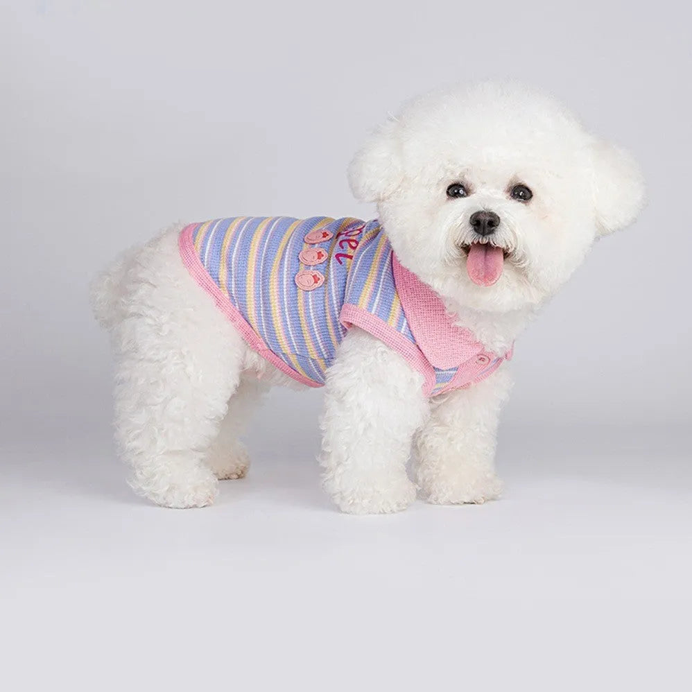 Pink purple knitted vest for a small dog or cat on a mannequin.
