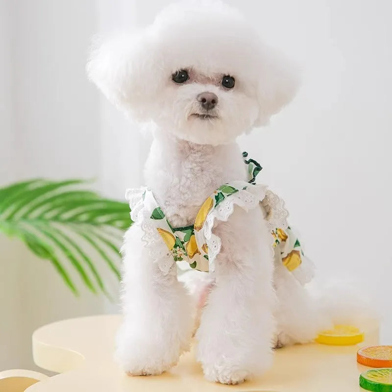 Rock yellow lemon polyester princess style dog dress with thin straps on a small dog.
