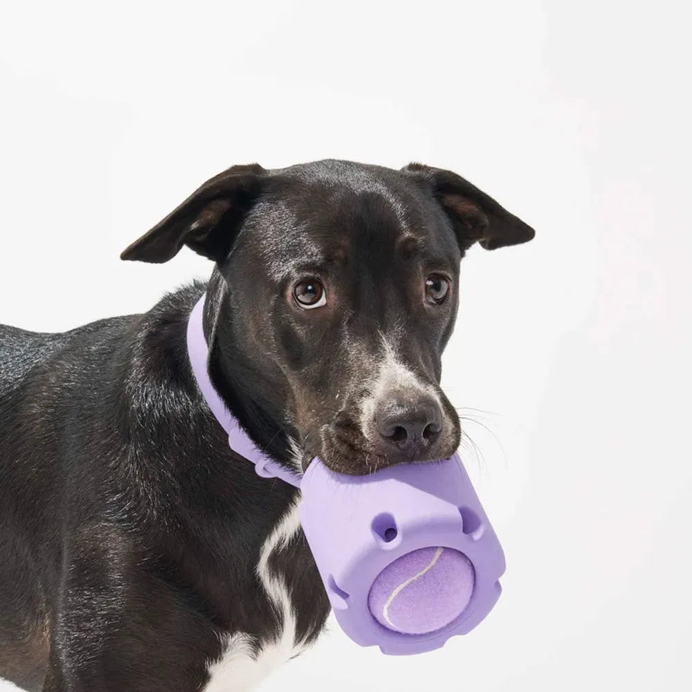 Rubber dog tennis cup toy in six colours, measuring 9.7 x 7.8 x 5cm for fetch play