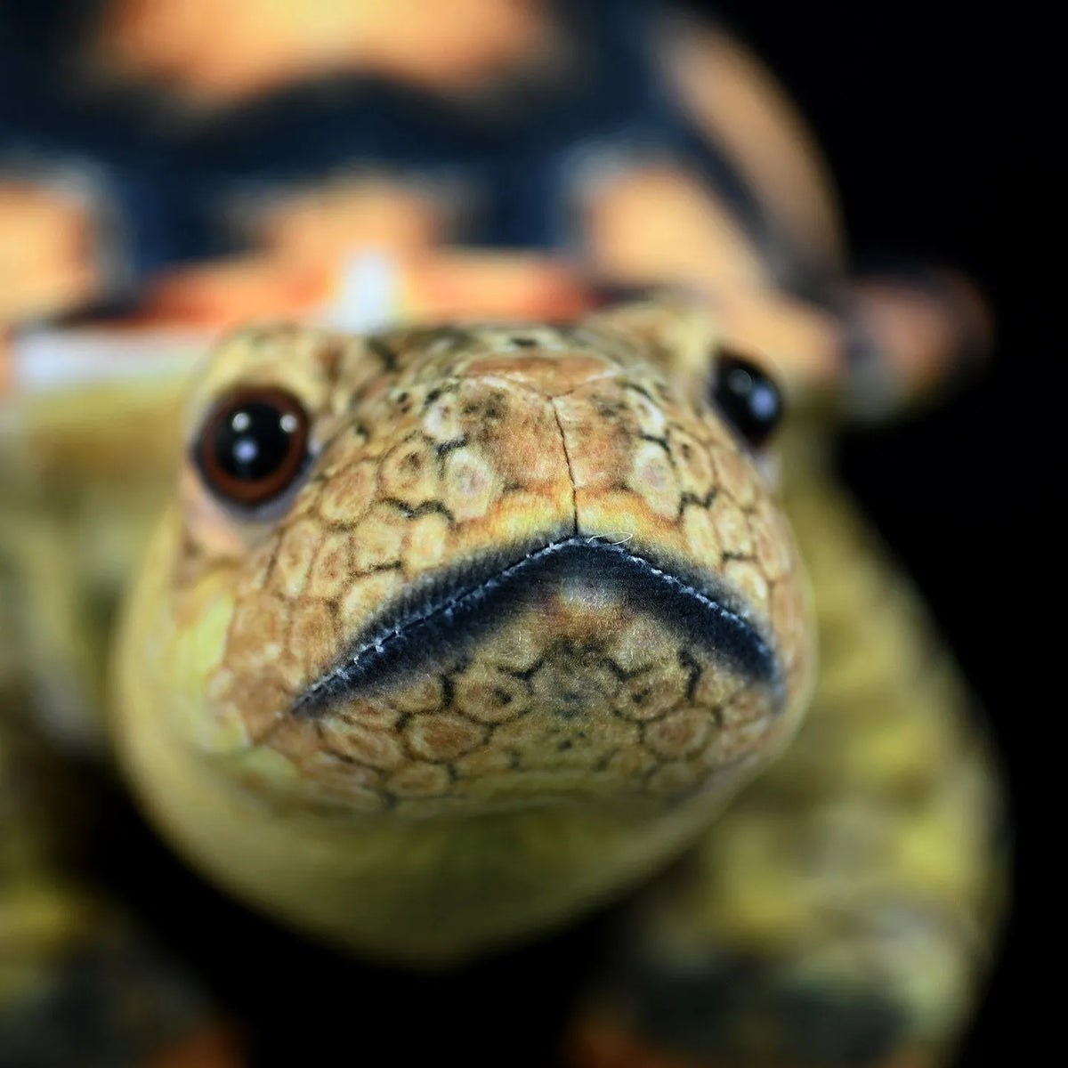 35cm simulation tortoise plush toy in tortoise colour showing realistic design and soft texture