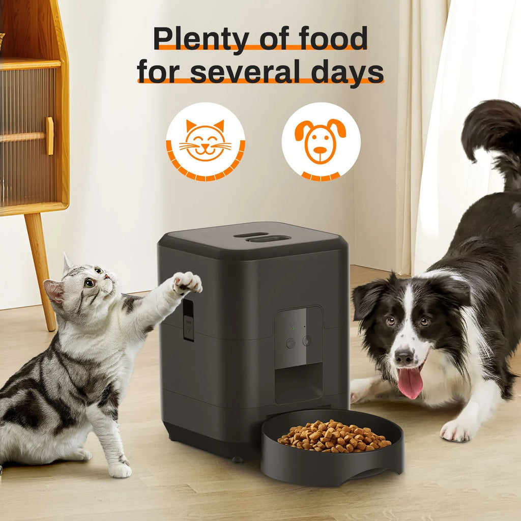 Automatic cat feeder with timer display and food container in white or black colour options