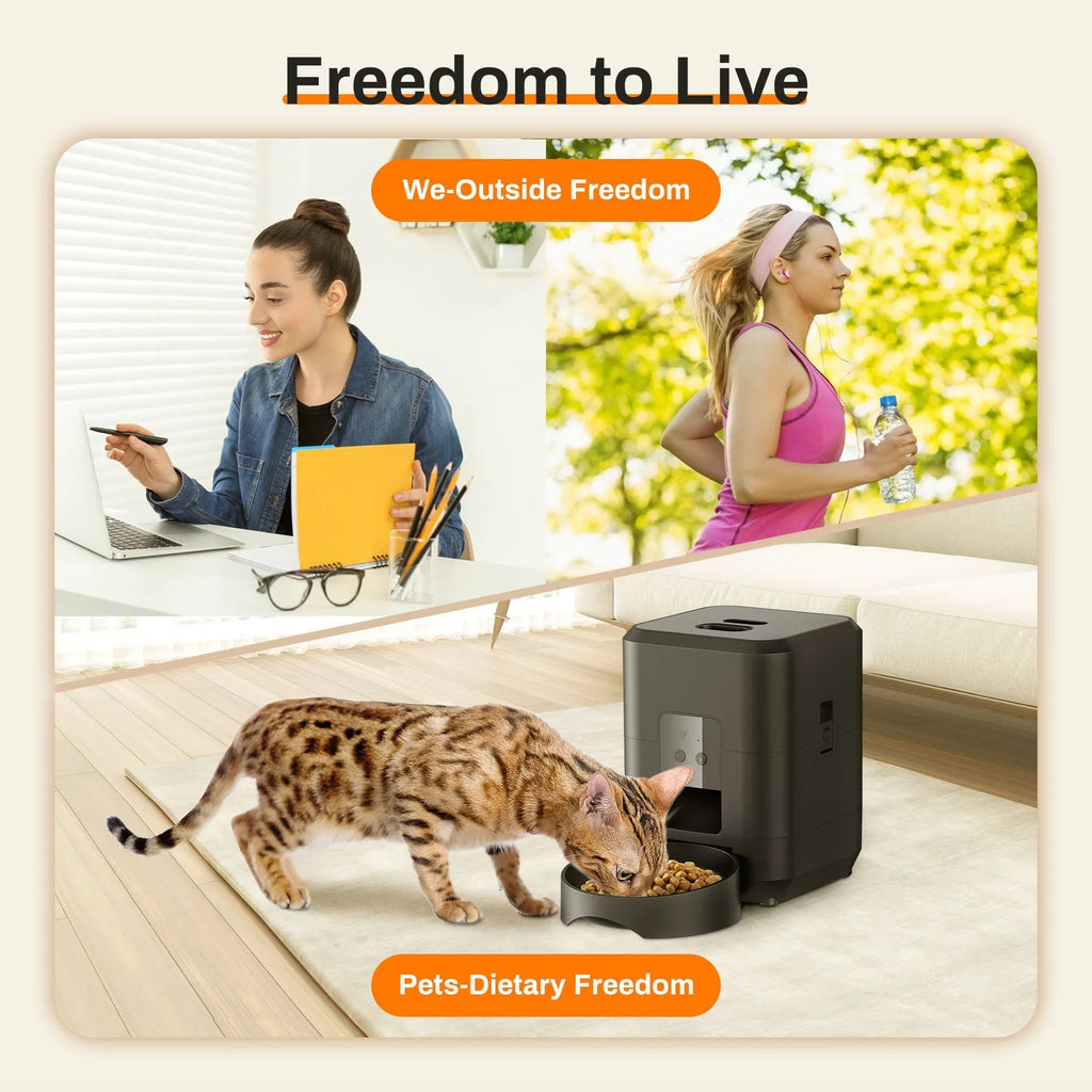 Automatic cat feeder with timer display and food container in white or black colour options