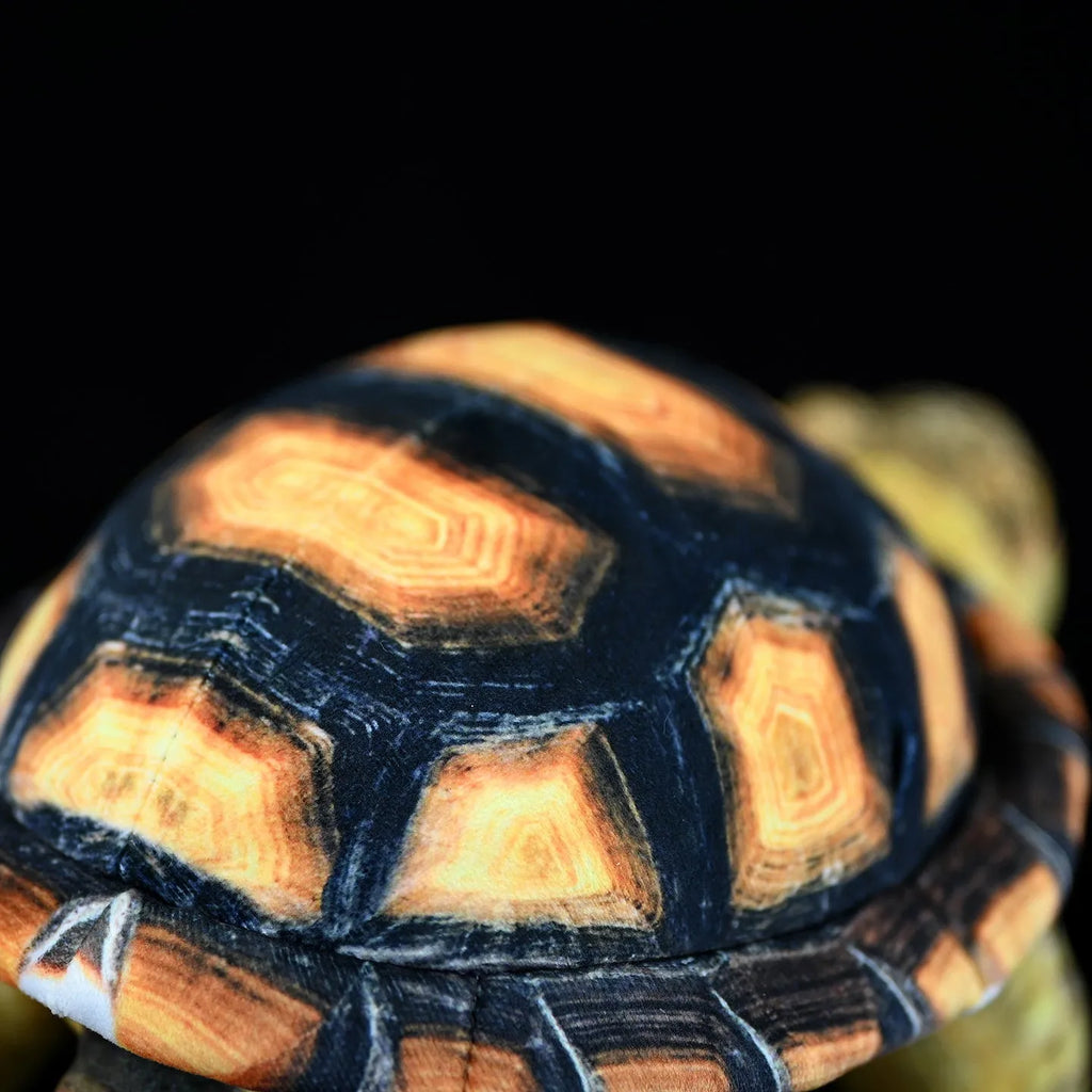 35cm simulation tortoise plush toy in tortoise colour showing realistic design and soft texture