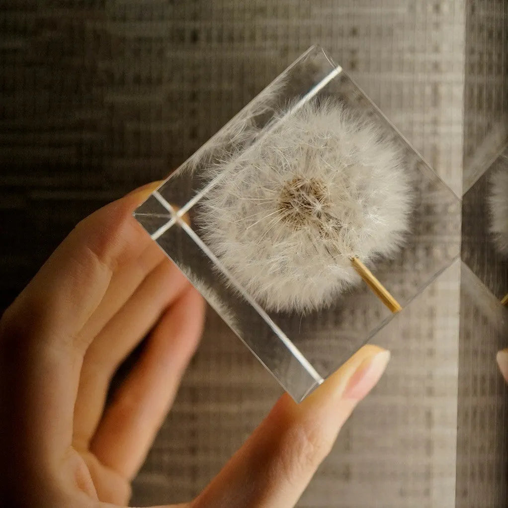 Clear cubic resin block with a dandelion flower inside, on a wooden box next to a USB charging base.