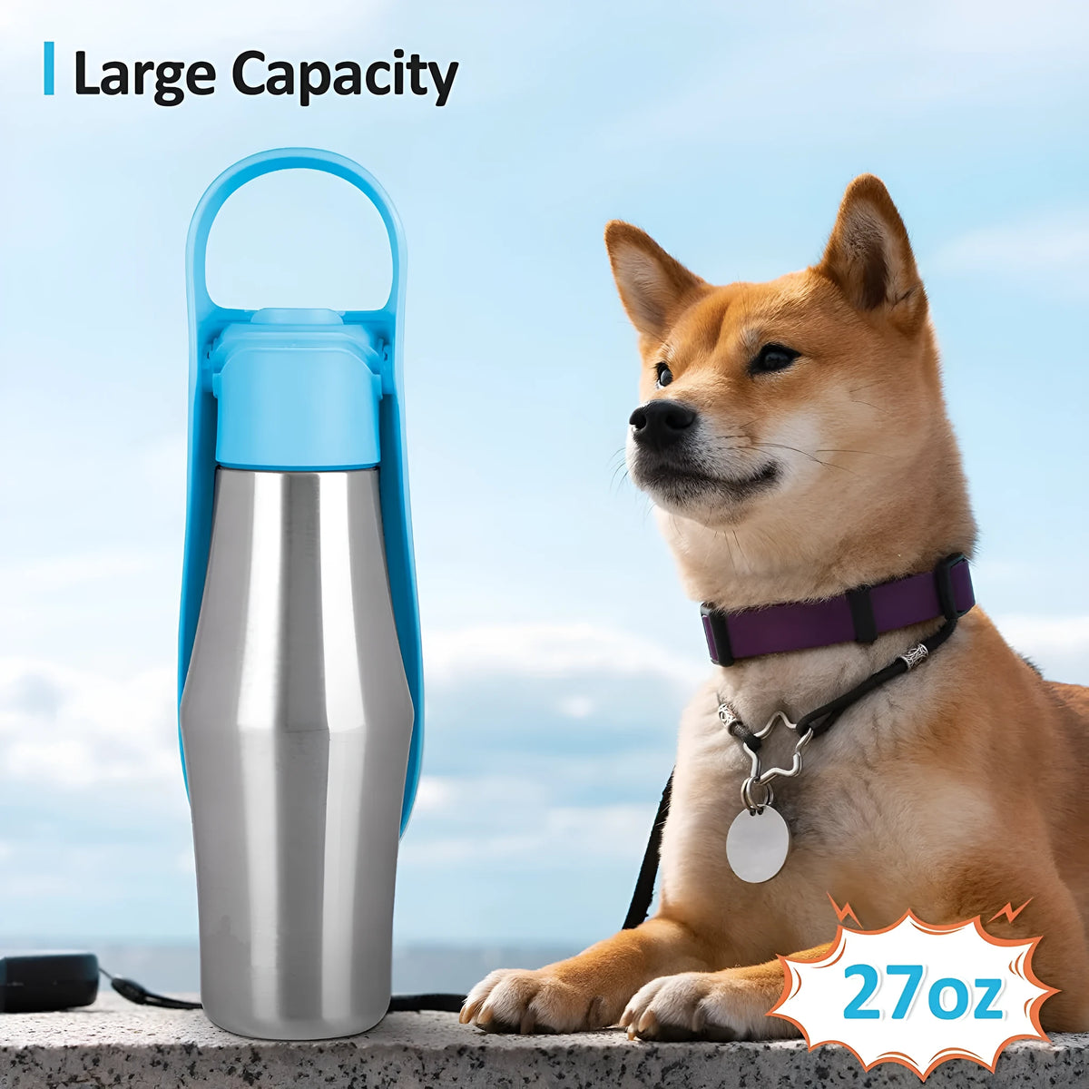 750ml portable dog water bottle with stainless steel body, silicone cap, and folding BPA-free drinking bowl