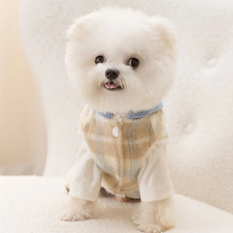 Blue corduroy dog vest with chessboard grid pattern and hood, sized for medium dogs