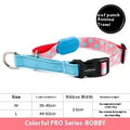 Nylon pet traction collar in Sunrise, Bobby, Hill mark or Florida, shown in S, M or L size