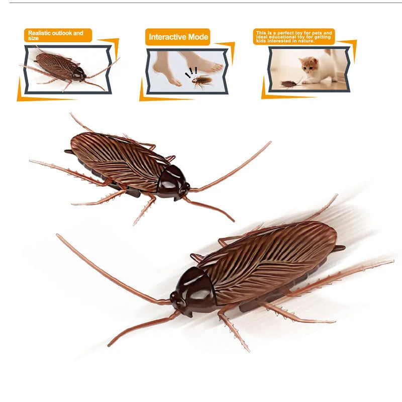 Electric vibration pet toy showing cockroach, dragonfly, tarantula and mouse designs